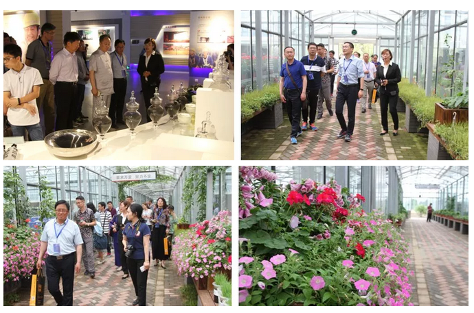 1558927281383284.png image.png