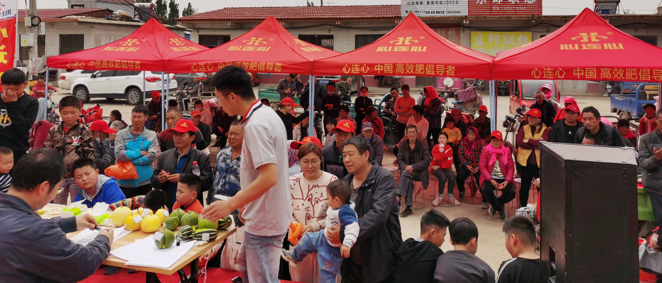 心連心喻屯甜瓜“豐收王”甜蜜開(kāi)賽啦……