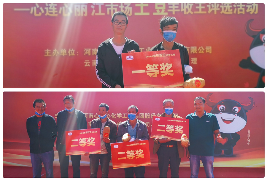 喜迎豐收，薯王爭(zhēng)霸！——心連心麗江市場(chǎng)土豆豐收王評(píng)選活動(dòng)成功舉行